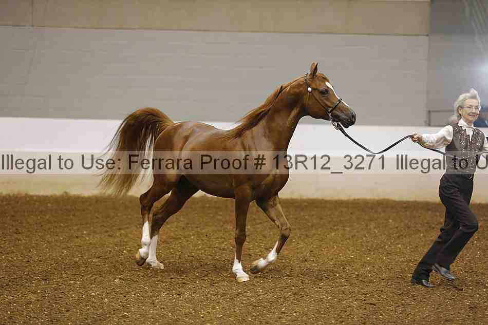 Proof 13r12_3271