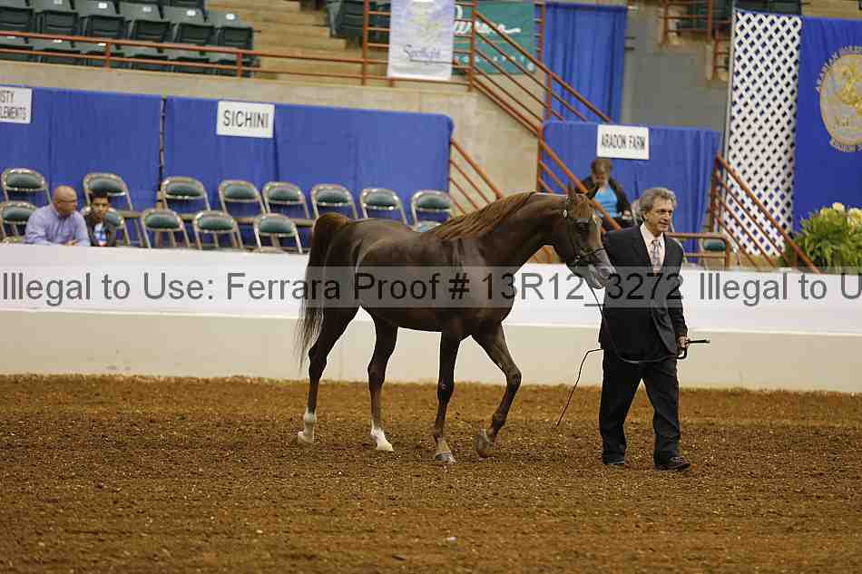 Proof 13r12_3272