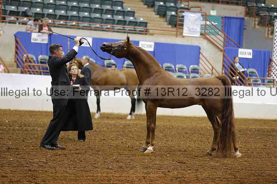 Proof 13r12_3282