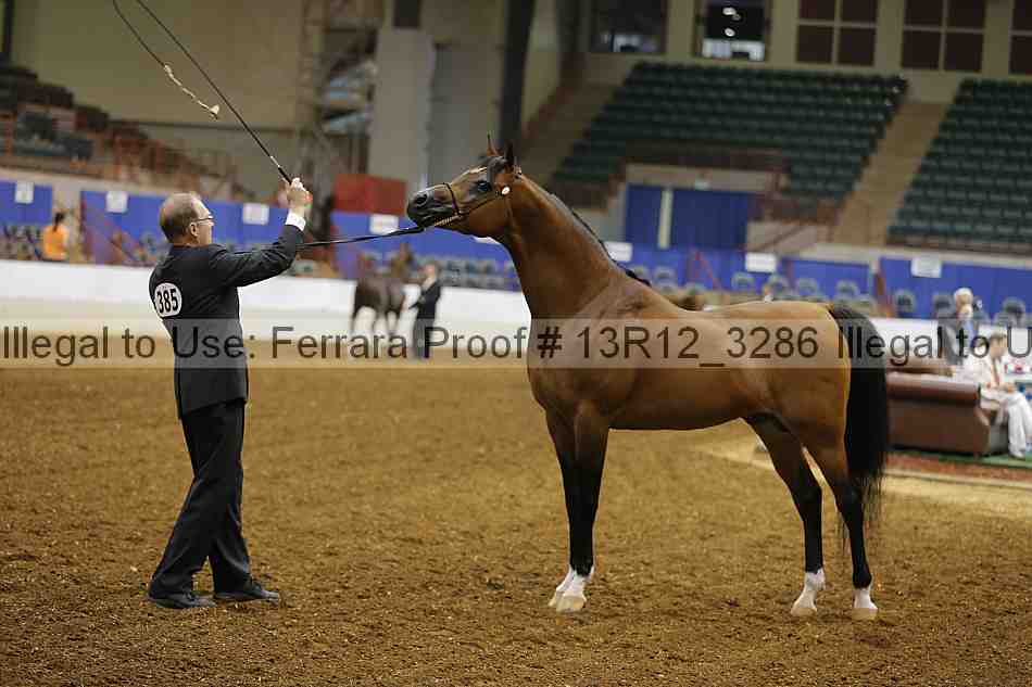 Proof 13r12_3286