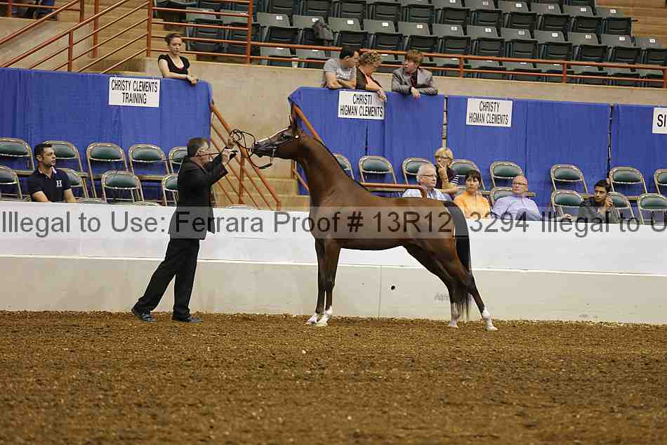Proof 13r12_3294