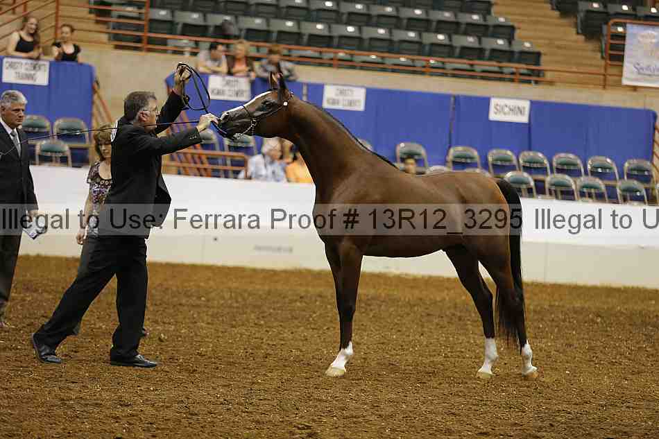 Proof 13r12_3295