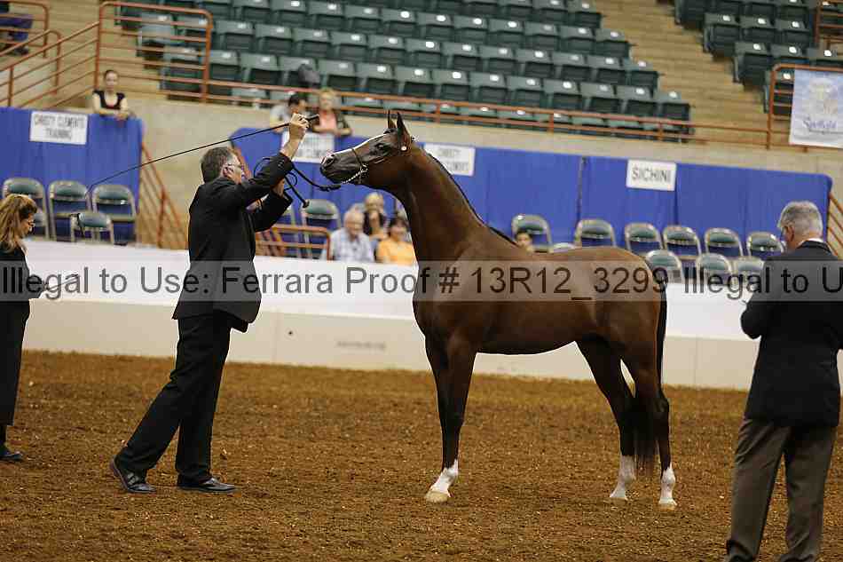 Proof 13r12_3299