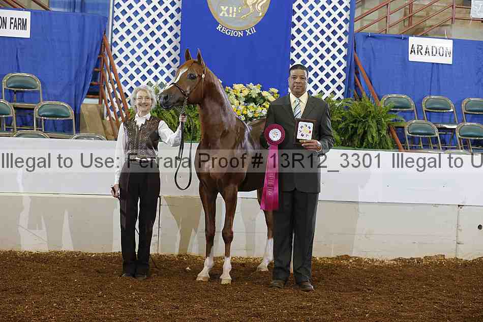 Proof 13r12_3301