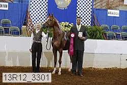 13r12_3301 proof