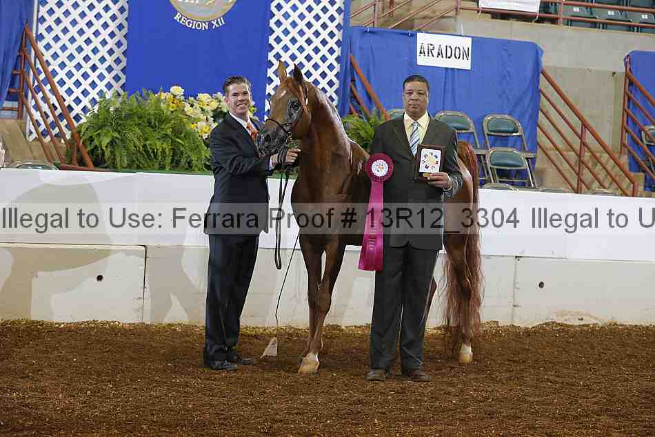 Proof 13r12_3304