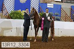 13r12_3304 proof