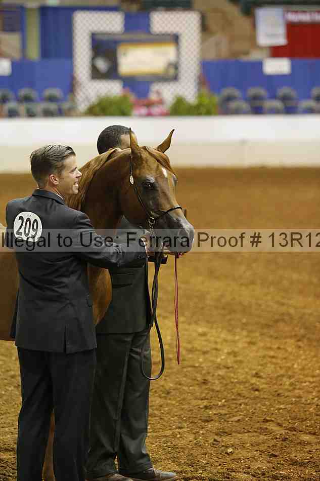 Proof 13r12_3305