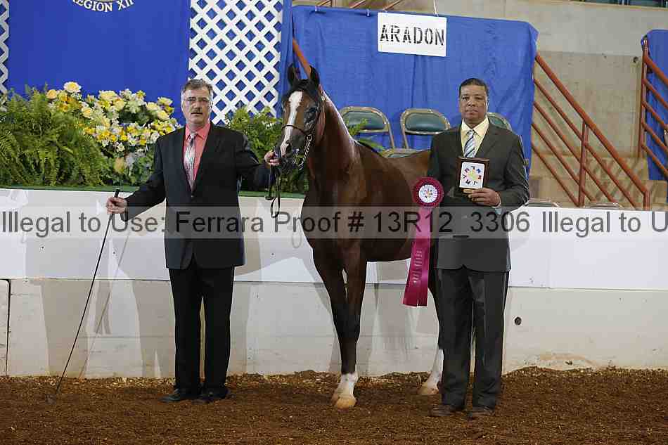Proof 13r12_3306