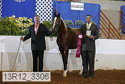 13r12_3306 proof
