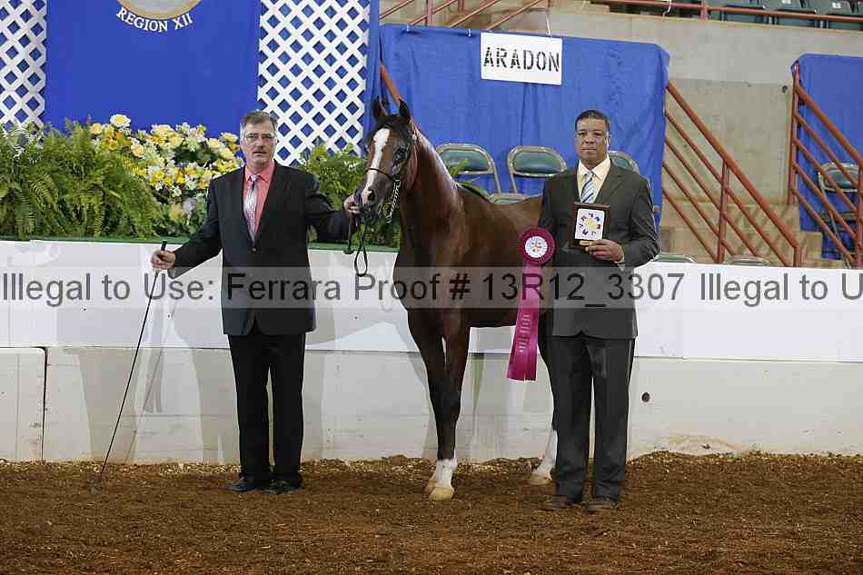 Proof 13r12_3307