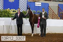 13r12_3307 proof