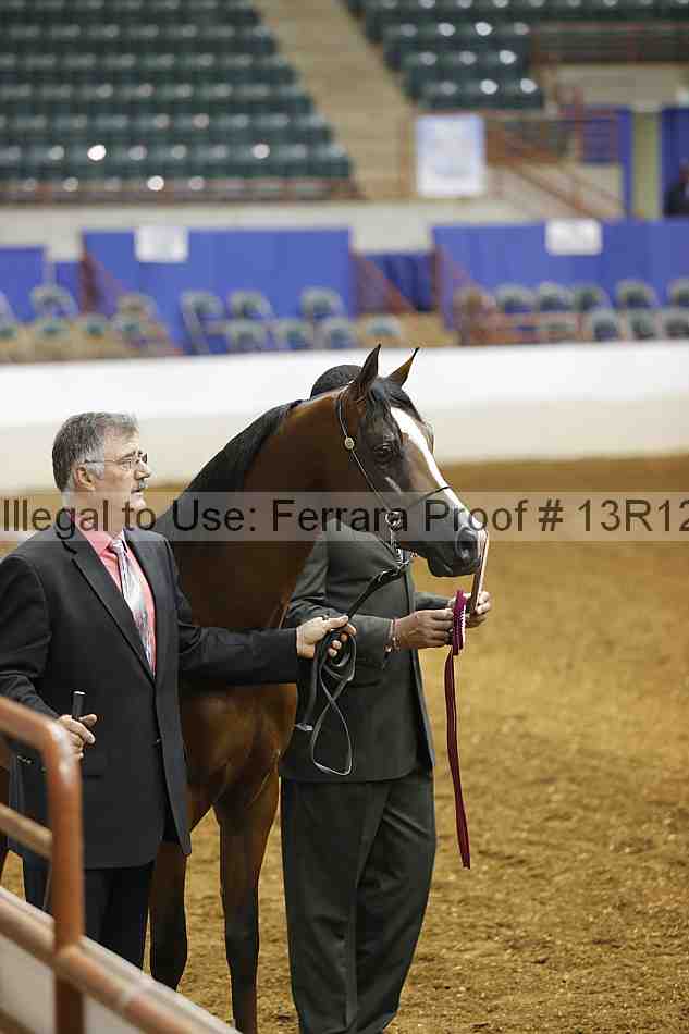 Proof 13r12_3308