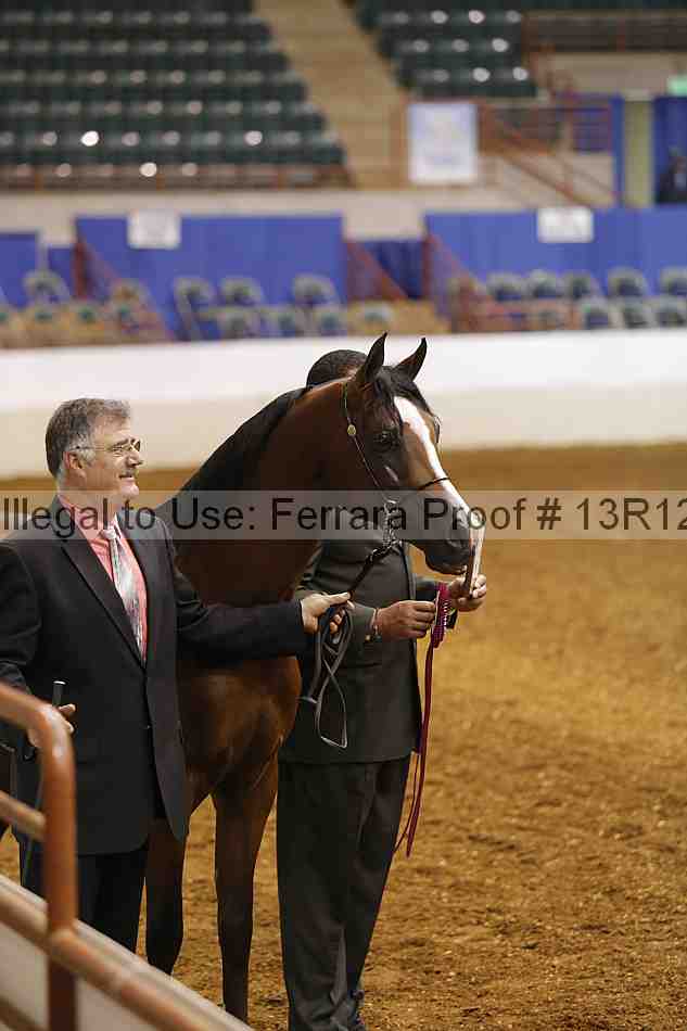 Proof 13r12_3309