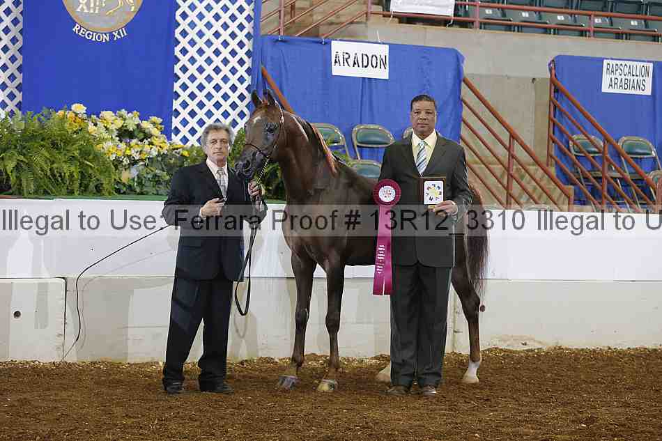 Proof 13r12_3310