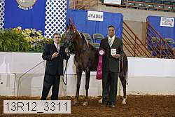 13r12_3311 proof
