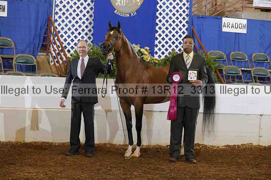 Proof 13r12_3313