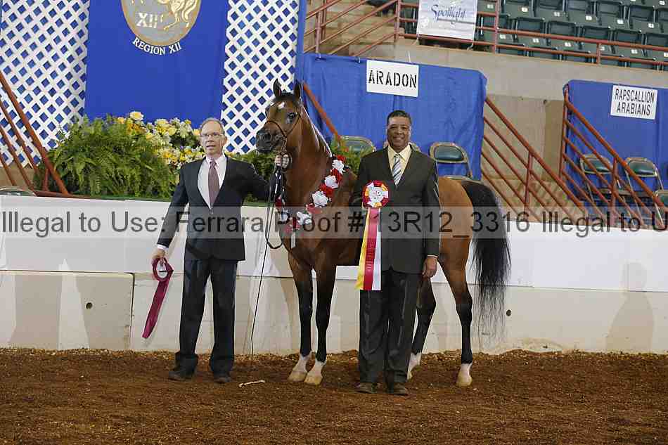 Proof 13r12_3316