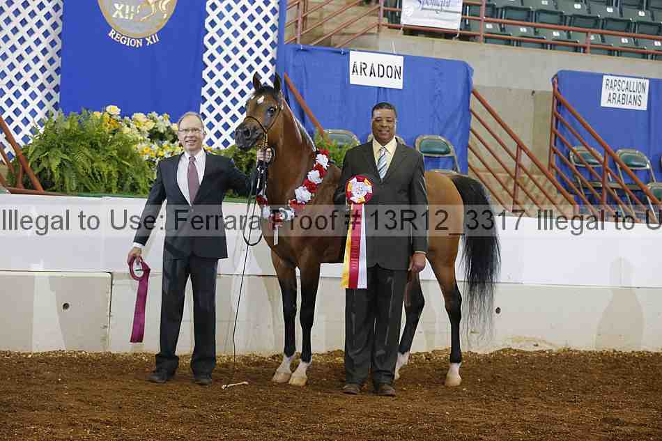 Proof 13r12_3317