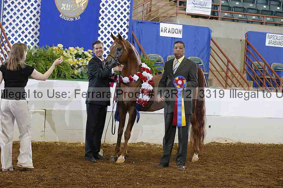 Proof 13r12_3319