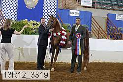 13r12_3319 proof