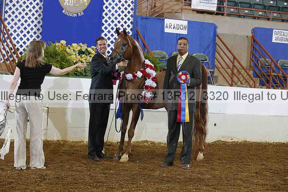 Proof 13r12_3320