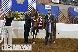 13r12_3320 proof