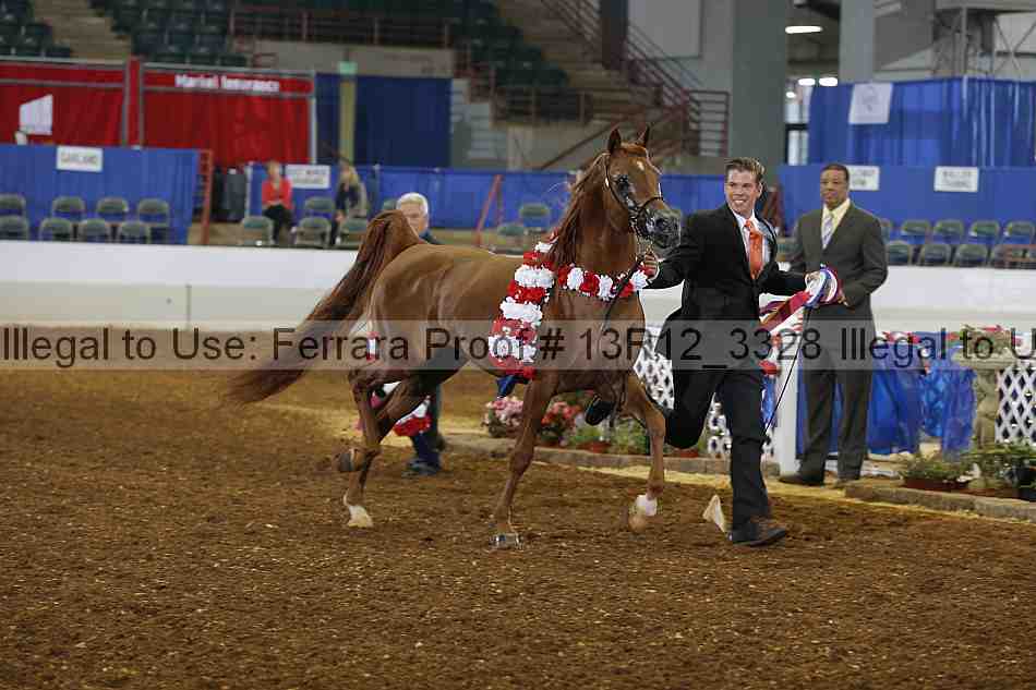 Proof 13r12_3328
