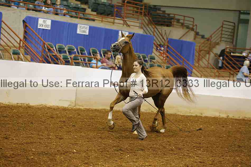 Proof 13r12_3333