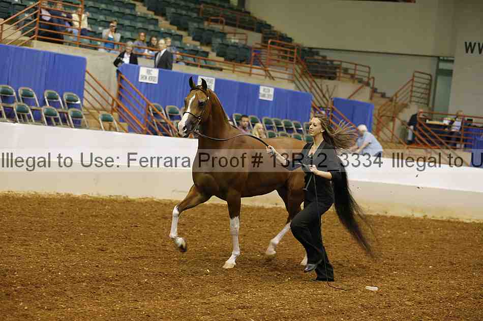 Proof 13r12_3334