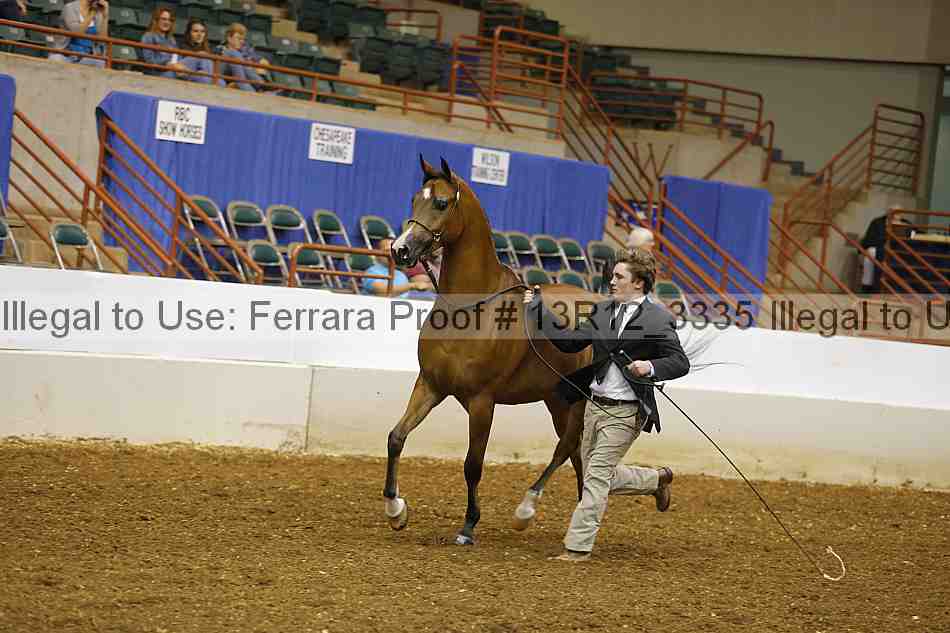 Proof 13r12_3335
