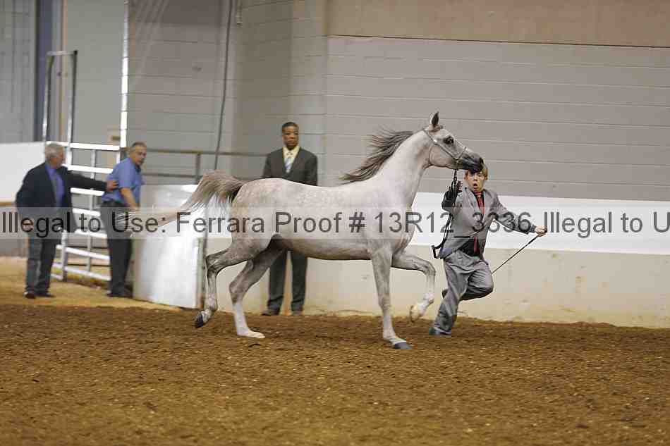 Proof 13r12_3336