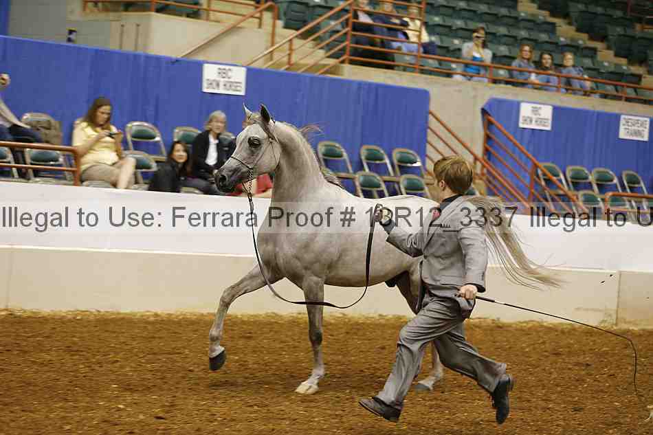 Proof 13r12_3337