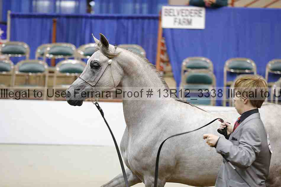 Proof 13r12_3338