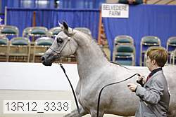 13r12_3338 proof