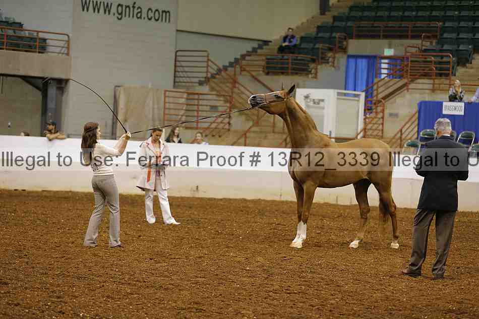 Proof 13r12_3339
