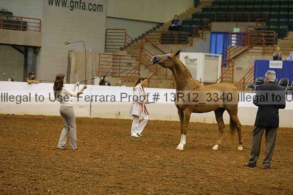 Proof 13r12_3340