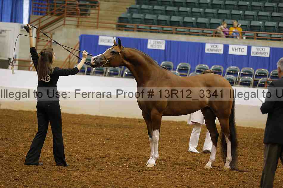 Proof 13r12_3341