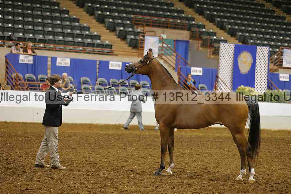 Proof 13r12_3344