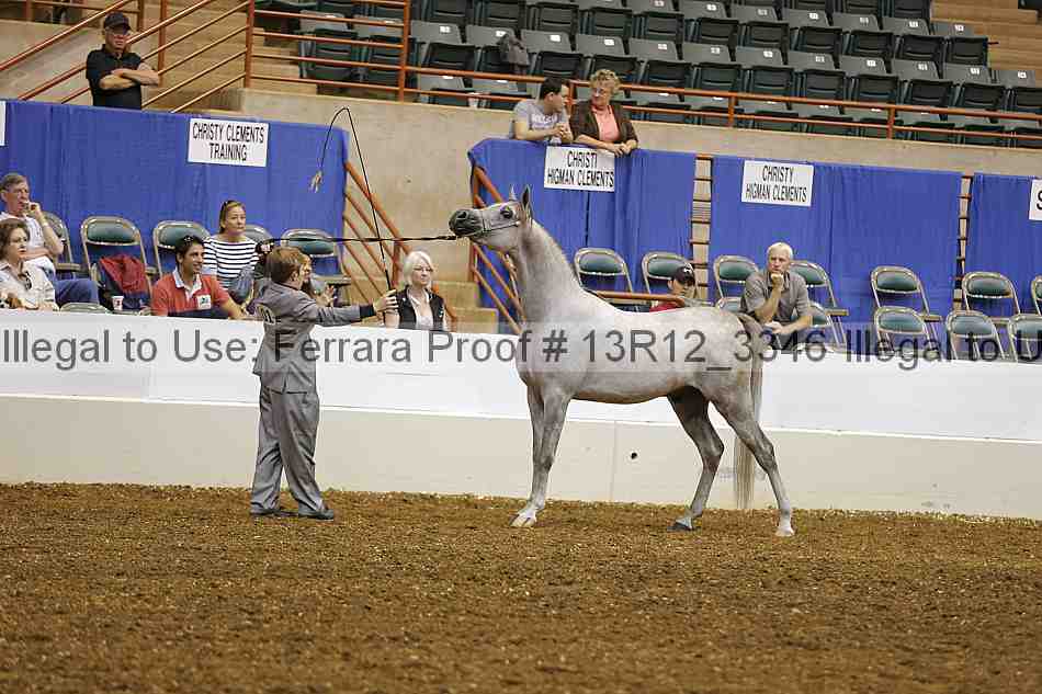 Proof 13r12_3346