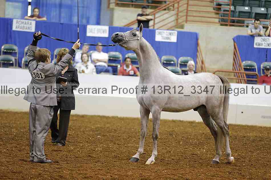 Proof 13r12_3347