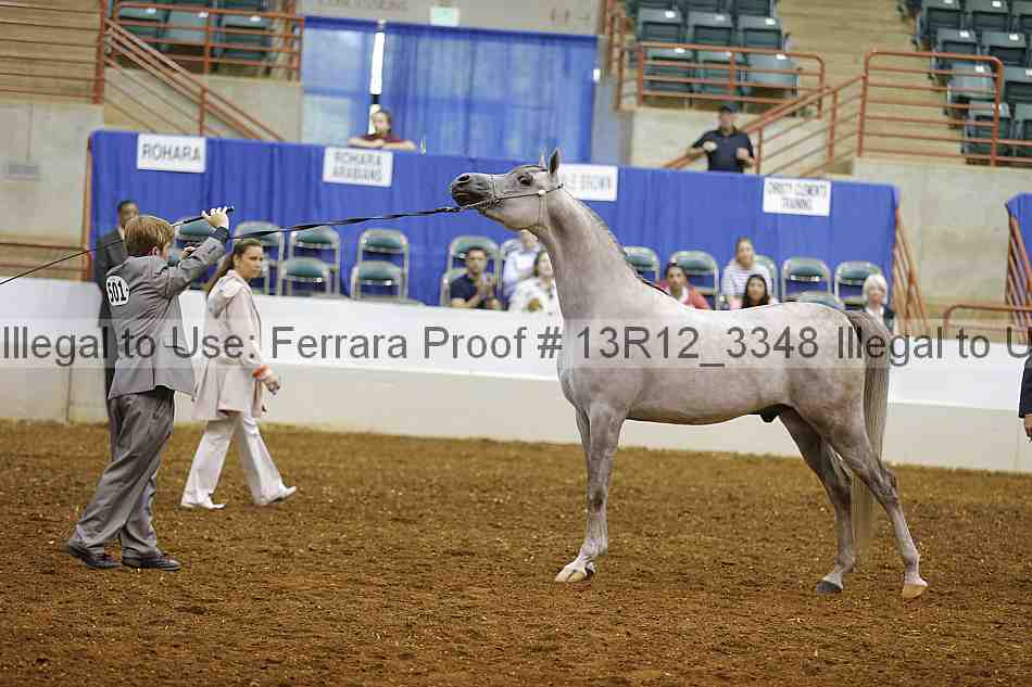 Proof 13r12_3348