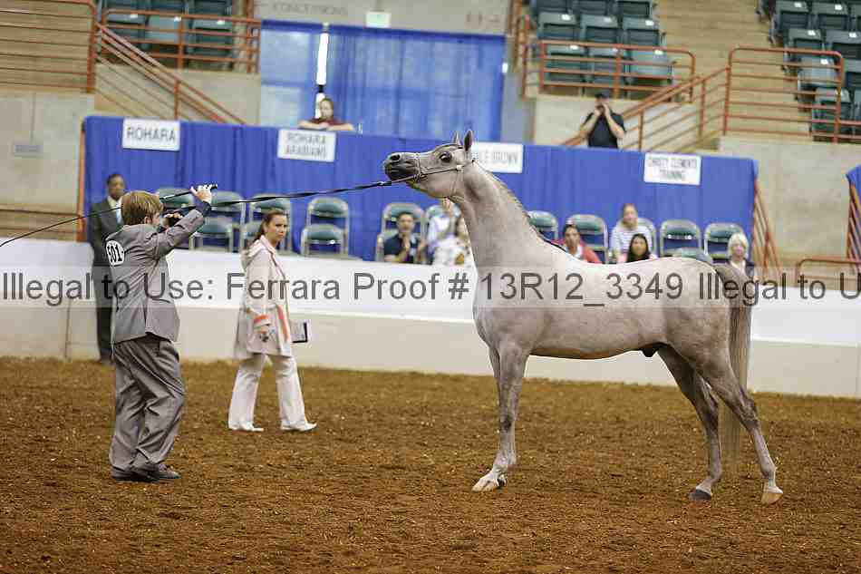 Proof 13r12_3349