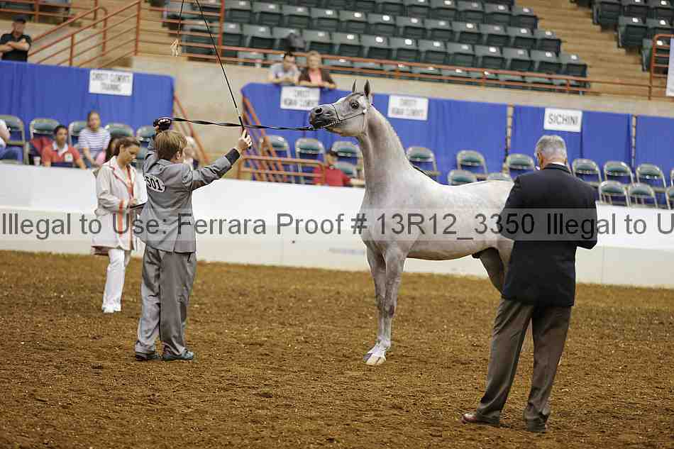 Proof 13r12_3350