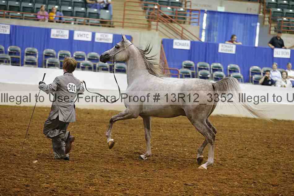 Proof 13r12_3352