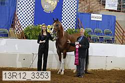 13r12_3353 proof