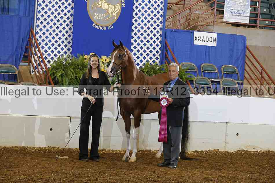 Proof 13r12_3354
