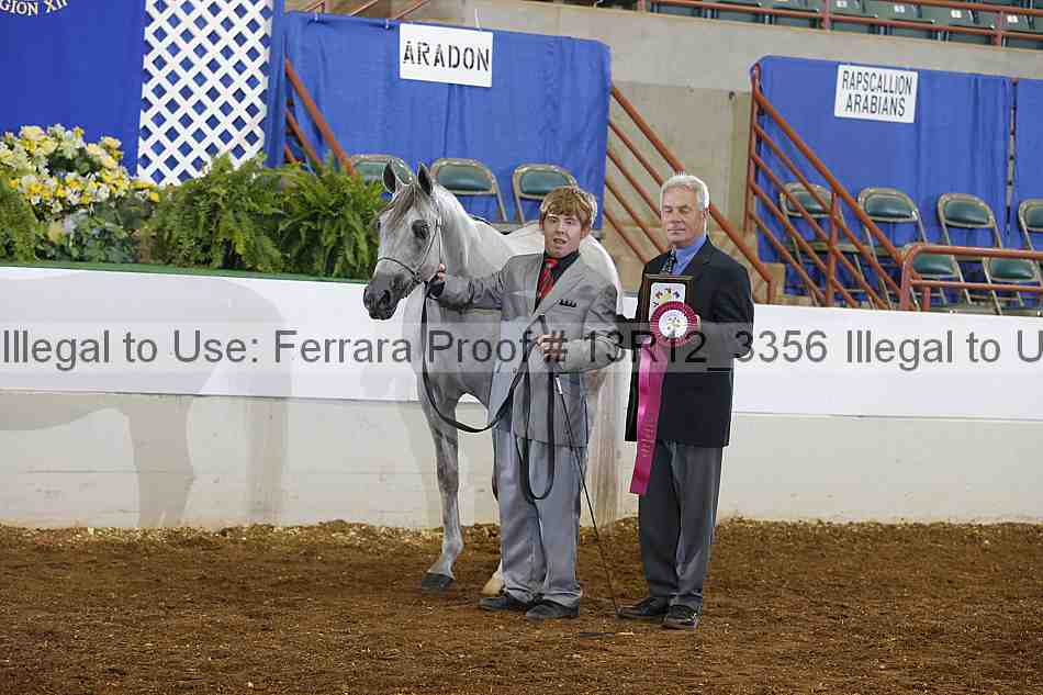 Proof 13r12_3356