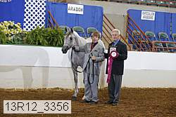 13r12_3356 proof