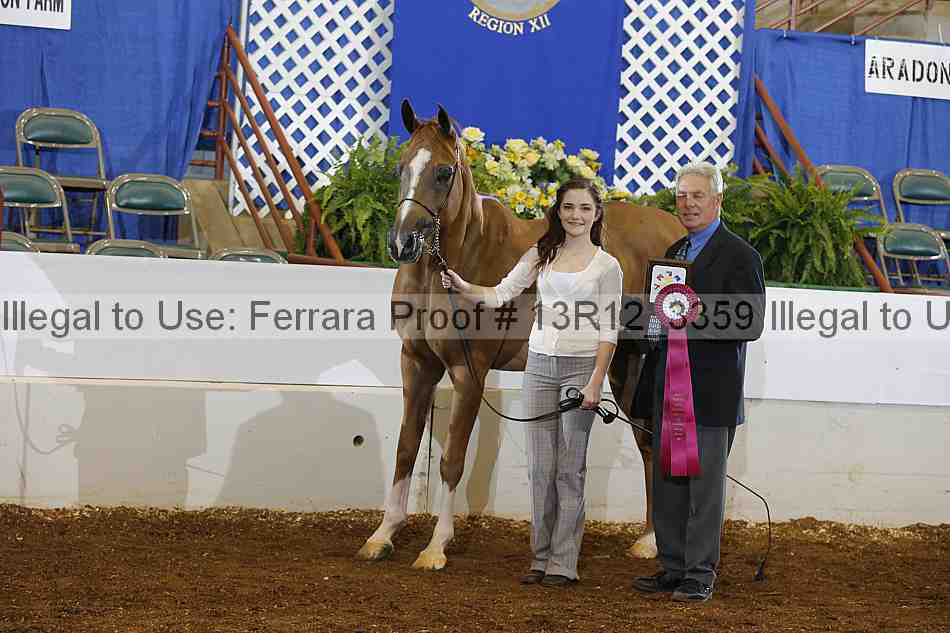 Proof 13r12_3359